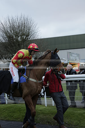 Race 7 The R.D.Decs Tosh And Go Handicap Hurdle Race at Fontwell Park on Tuesday 10 December 2013 www.polopictures.co.uk