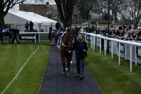 Race 7 The R.D.Decs Tosh And Go Handicap Hurdle Race at Fontwell Park on Tuesday 10 December 2013 www.polopictures.co.uk