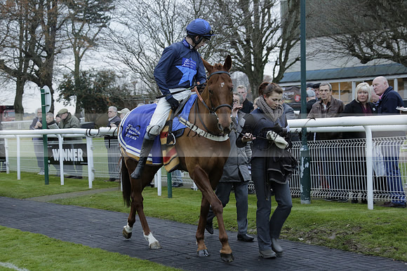 Race 7 The R.D.Decs Tosh And Go Handicap Hurdle Race at Fontwell Park on Tuesday 10 December 2013 www.polopictures.co.uk