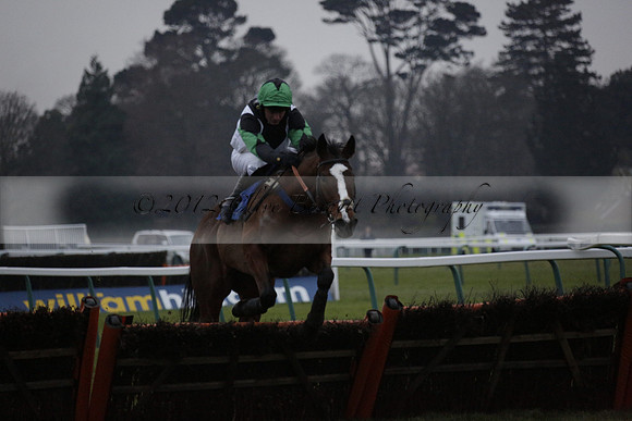 Race 7 The R.D.Decs Tosh And Go Handicap Hurdle Race at Fontwell Park on Tuesday 10 December 2013 www.polopictures.co.uk