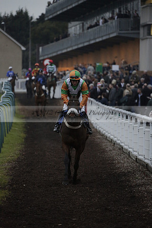 Race 7 The R.D.Decs Tosh And Go Handicap Hurdle Race at Fontwell Park on Tuesday 10 December 2013 www.polopictures.co.uk