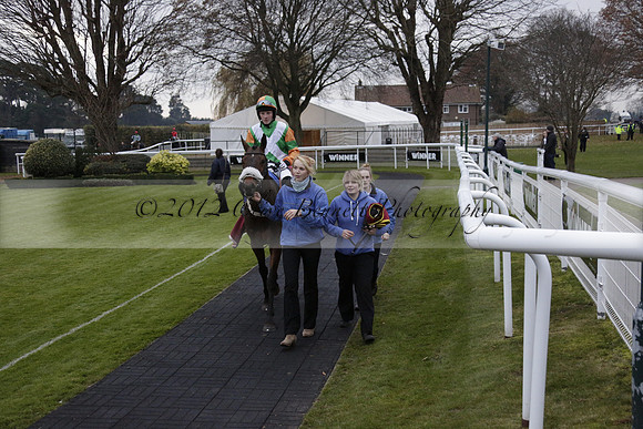 Race 7 The R.D.Decs Tosh And Go Handicap Hurdle Race at Fontwell Park on Tuesday 10 December 2013 www.polopictures.co.uk