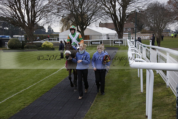 Race 7 The R.D.Decs Tosh And Go Handicap Hurdle Race at Fontwell Park on Tuesday 10 December 2013 www.polopictures.co.uk