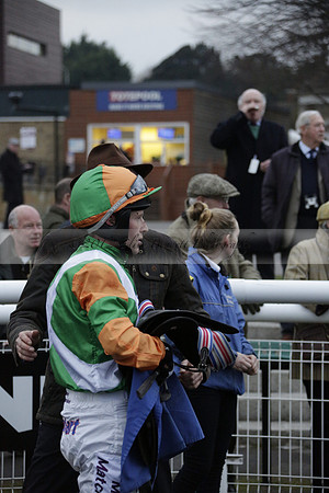 Race 7 The R.D.Decs Tosh And Go Handicap Hurdle Race at Fontwell Park on Tuesday 10 December 2013 www.polopictures.co.uk