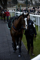 Race 7 The R.D.Decs Tosh And Go Handicap Hurdle Race at Fontwell Park on Tuesday 10 December 2013 www.polopictures.co.uk