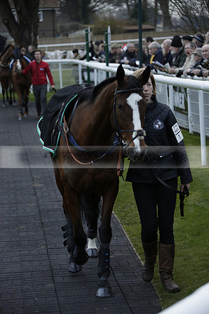 Race 7 The R.D.Decs Tosh And Go Handicap Hurdle Race at Fontwell Park on Tuesday 10 December 2013 www.polopictures.co.uk