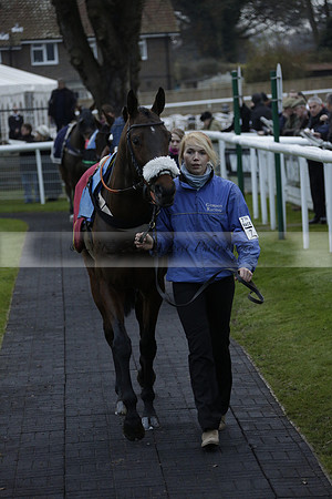 Race 7 The R.D.Decs Tosh And Go Handicap Hurdle Race at Fontwell Park on Tuesday 10 December 2013 www.polopictures.co.uk