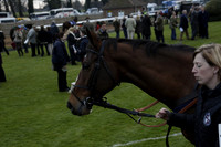 Race 7 The R.D.Decs Tosh And Go Handicap Hurdle Race at Fontwell Park on Tuesday 10 December 2013 www.polopictures.co.uk