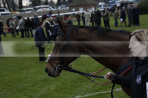 Race 7 The R.D.Decs Tosh And Go Handicap Hurdle Race at Fontwell Park on Tuesday 10 December 2013 www.polopictures.co.uk