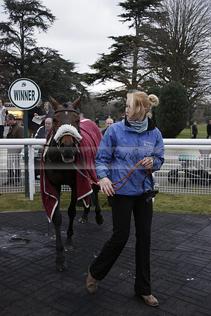 Race 7 The R.D.Decs Tosh And Go Handicap Hurdle Race at Fontwell Park on Tuesday 10 December 2013 www.polopictures.co.uk