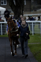 Race 7 The R.D.Decs Tosh And Go Handicap Hurdle Race at Fontwell Park on Tuesday 10 December 2013 www.polopictures.co.uk