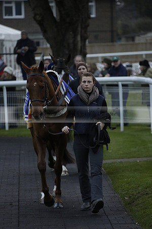 Race 7 The R.D.Decs Tosh And Go Handicap Hurdle Race at Fontwell Park on Tuesday 10 December 2013 www.polopictures.co.uk