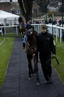 Race 7 The R.D.Decs Tosh And Go Handicap Hurdle Race at Fontwell Park on Tuesday 10 December 2013 www.polopictures.co.uk