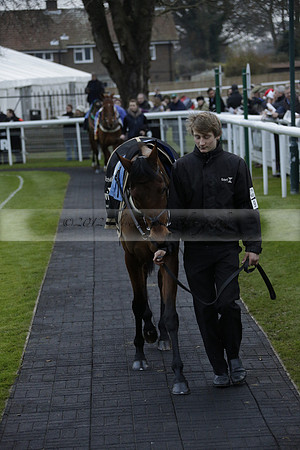 Race 7 The R.D.Decs Tosh And Go Handicap Hurdle Race at Fontwell Park on Tuesday 10 December 2013 www.polopictures.co.uk