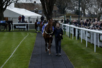 Race 7 The R.D.Decs Tosh And Go Handicap Hurdle Race at Fontwell Park on Tuesday 10 December 2013 www.polopictures.co.uk