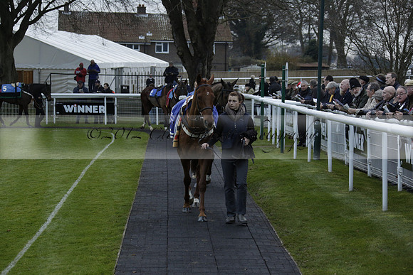 Race 7 The R.D.Decs Tosh And Go Handicap Hurdle Race at Fontwell Park on Tuesday 10 December 2013 www.polopictures.co.uk
