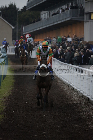 Race 7 The R.D.Decs Tosh And Go Handicap Hurdle Race at Fontwell Park on Tuesday 10 December 2013 www.polopictures.co.uk