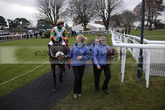 Race 7 The R.D.Decs Tosh And Go Handicap Hurdle Race at Fontwell Park on Tuesday 10 December 2013 www.polopictures.co.uk