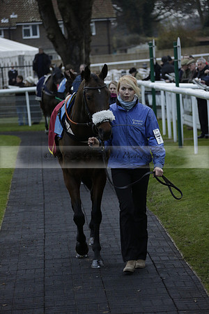 Race 7 The R.D.Decs Tosh And Go Handicap Hurdle Race at Fontwell Park on Tuesday 10 December 2013 www.polopictures.co.uk