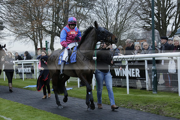 Race 7 The R.D.Decs Tosh And Go Handicap Hurdle Race at Fontwell Park on Tuesday 10 December 2013 www.polopictures.co.uk