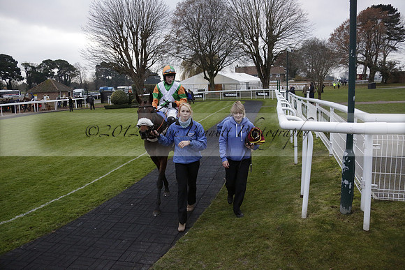 Race 7 The R.D.Decs Tosh And Go Handicap Hurdle Race at Fontwell Park on Tuesday 10 December 2013 www.polopictures.co.uk