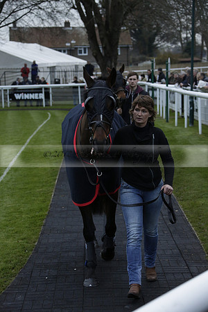 Race 7 The R.D.Decs Tosh And Go Handicap Hurdle Race at Fontwell Park on Tuesday 10 December 2013 www.polopictures.co.uk