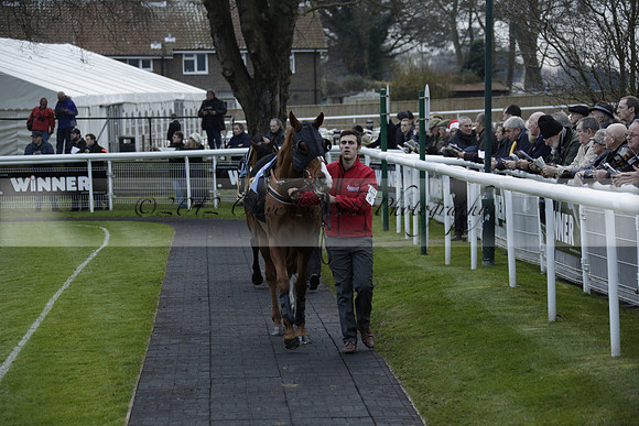 Race 7 The R.D.Decs Tosh And Go Handicap Hurdle Race at Fontwell Park on Tuesday 10 December 2013 www.polopictures.co.uk