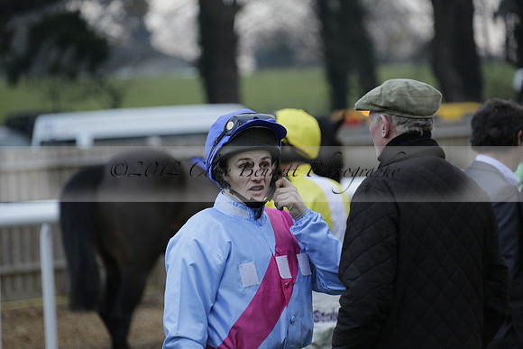 Race 7 The R.D.Decs Tosh And Go Handicap Hurdle Race at Fontwell Park on Tuesday 10 December 2013 www.polopictures.co.uk