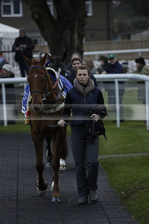 Race 7 The R.D.Decs Tosh And Go Handicap Hurdle Race at Fontwell Park on Tuesday 10 December 2013 www.polopictures.co.uk