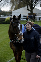 Race 7 The R.D.Decs Tosh And Go Handicap Hurdle Race at Fontwell Park on Tuesday 10 December 2013 www.polopictures.co.uk