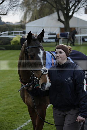 Race 7 The R.D.Decs Tosh And Go Handicap Hurdle Race at Fontwell Park on Tuesday 10 December 2013 www.polopictures.co.uk
