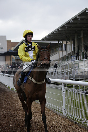 Race 7 The R.D.Decs Tosh And Go Handicap Hurdle Race at Fontwell Park on Tuesday 10 December 2013 www.polopictures.co.uk