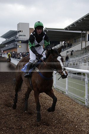 Race 7 The R.D.Decs Tosh And Go Handicap Hurdle Race at Fontwell Park on Tuesday 10 December 2013 www.polopictures.co.uk