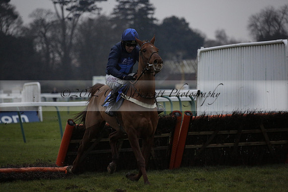 Race 7 The R.D.Decs Tosh And Go Handicap Hurdle Race at Fontwell Park on Tuesday 10 December 2013 www.polopictures.co.uk