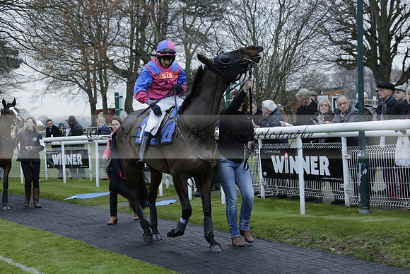 Race 7 The R.D.Decs Tosh And Go Handicap Hurdle Race at Fontwell Park on Tuesday 10 December 2013 www.polopictures.co.uk