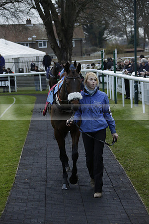 Race 7 The R.D.Decs Tosh And Go Handicap Hurdle Race at Fontwell Park on Tuesday 10 December 2013 www.polopictures.co.uk
