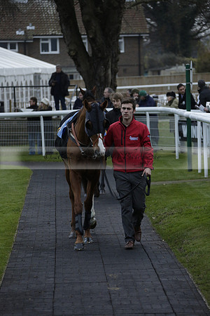 Race 7 The R.D.Decs Tosh And Go Handicap Hurdle Race at Fontwell Park on Tuesday 10 December 2013 www.polopictures.co.uk