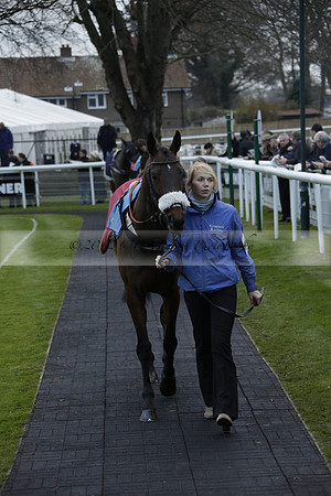 Race 7 The R.D.Decs Tosh And Go Handicap Hurdle Race at Fontwell Park on Tuesday 10 December 2013 www.polopictures.co.uk