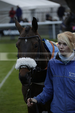 Race 7 The R.D.Decs Tosh And Go Handicap Hurdle Race at Fontwell Park on Tuesday 10 December 2013 www.polopictures.co.uk