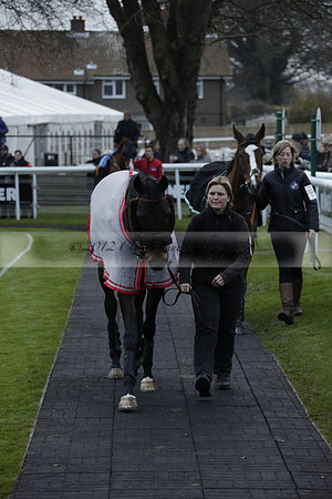 Race 7 The R.D.Decs Tosh And Go Handicap Hurdle Race at Fontwell Park on Tuesday 10 December 2013 www.polopictures.co.uk