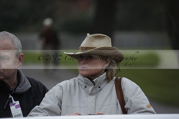 Race 7 The R.D.Decs Tosh And Go Handicap Hurdle Race at Fontwell Park on Tuesday 10 December 2013 www.polopictures.co.uk