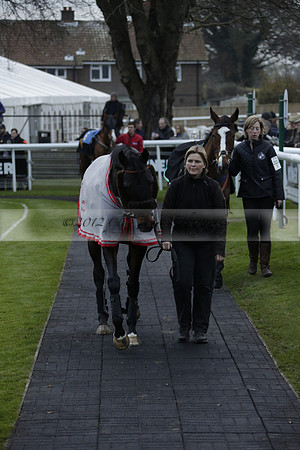 Race 7 The R.D.Decs Tosh And Go Handicap Hurdle Race at Fontwell Park on Tuesday 10 December 2013 www.polopictures.co.uk