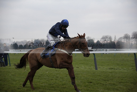 Race 7 The R.D.Decs Tosh And Go Handicap Hurdle Race at Fontwell Park on Tuesday 10 December 2013 www.polopictures.co.uk