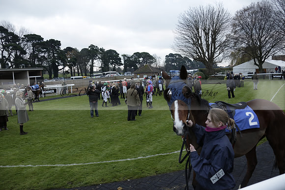 Race 7 The R.D.Decs Tosh And Go Handicap Hurdle Race at Fontwell Park on Tuesday 10 December 2013 www.polopictures.co.uk