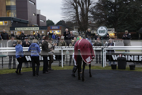 Race 7 The R.D.Decs Tosh And Go Handicap Hurdle Race at Fontwell Park on Tuesday 10 December 2013 www.polopictures.co.uk