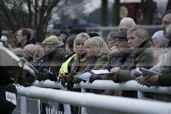 Race 7 The R.D.Decs Tosh And Go Handicap Hurdle Race at Fontwell Park on Tuesday 10 December 2013 www.polopictures.co.uk