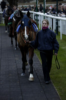 Race 7 The R.D.Decs Tosh And Go Handicap Hurdle Race at Fontwell Park on Tuesday 10 December 2013 www.polopictures.co.uk