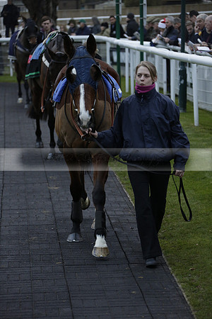 Race 7 The R.D.Decs Tosh And Go Handicap Hurdle Race at Fontwell Park on Tuesday 10 December 2013 www.polopictures.co.uk