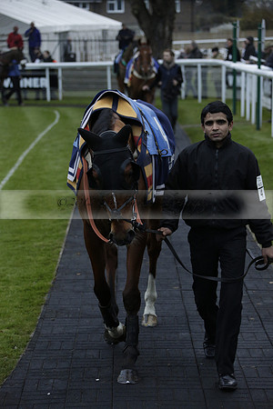 Race 7 The R.D.Decs Tosh And Go Handicap Hurdle Race at Fontwell Park on Tuesday 10 December 2013 www.polopictures.co.uk