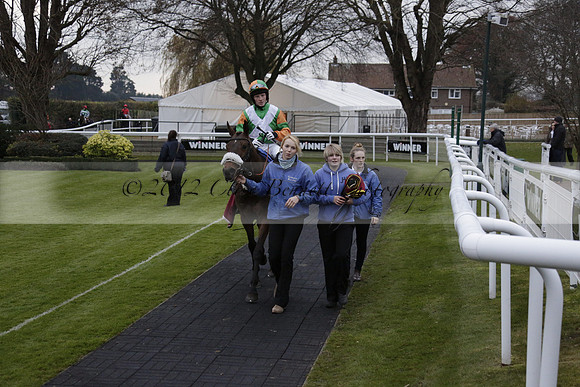 Race 7 The R.D.Decs Tosh And Go Handicap Hurdle Race at Fontwell Park on Tuesday 10 December 2013 www.polopictures.co.uk